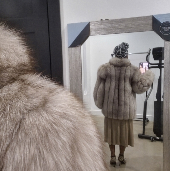 COPY - SAGA Fox M - Gorgeous! - Picture 7 of 17